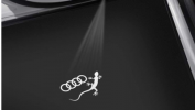 Gecko_Ringe_4G0052133K392